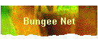 Bungee Net