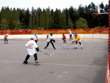 Type-II Hockey Drome