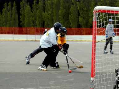 Type-II Hockey Drome