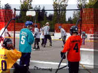 Type-II Drome configured for Hockey